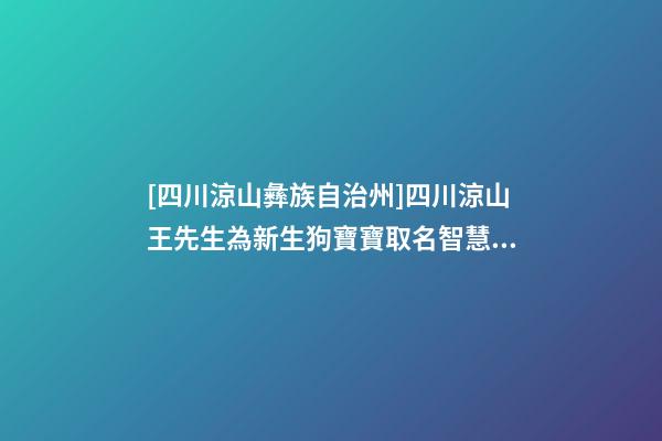 [四川涼山彝族自治州]四川涼山王先生為新生狗寶寶取名智慧型套餐-第1張-公司起名-玄機派